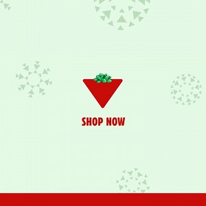 Wrap up your shopping and save a bundle on last-minute gifts, the season’s hottest toys and more, in-store and online. | Canadian Tire