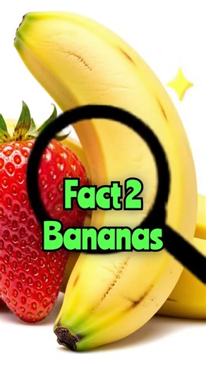 These Facts Sound Fake But They’re 100% True! 😳🧠 #didyouknow #viral #foryou