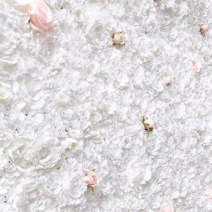 Floral Backdrop Rentals - MN & WI — Boxwood Rose