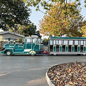 [Hot Item] Shuttle Amusement Park Electric Train Rides for Kids' Fun Adventures