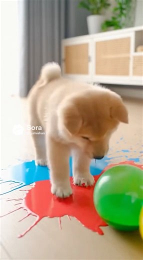 🐾 Animals Popping a Balloon — Soft ASMR #aivideo #shortvideo