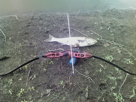 Cajun FishStick Bowfishing Review