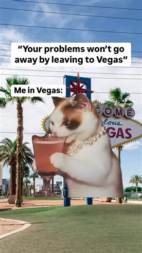 Las Vegas ♥️ Travel | Hotels | Food | Tips  on Instagram: "Vegas gonna solve all my problems! Tag someone who relates!"