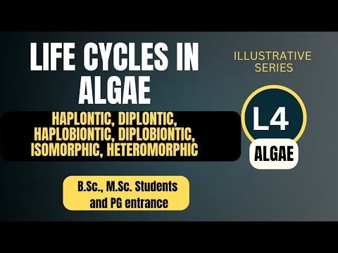 Life cycles in Algae || Haplobiontic || Diplobiontic || Isomorphic || Heteromorphic || Triphasic