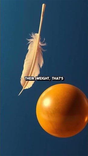 Do heavier objects fall faster than lighter ones? 🪂⚖️