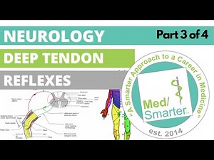 USMLE Step 1 | Deep Tendon Reflexes | MedSmarter | Part 3 of 4