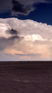 Timelapse of storm towers exploding over eastern New Mexico during the active late-May stretch. These quickly became severe storms, with the right-most one exhibiting incredible storm structure after dark. 🎥 - Mosquero, NM - 5/25/23 | Tornado Titans - Weather and Storm Chasing