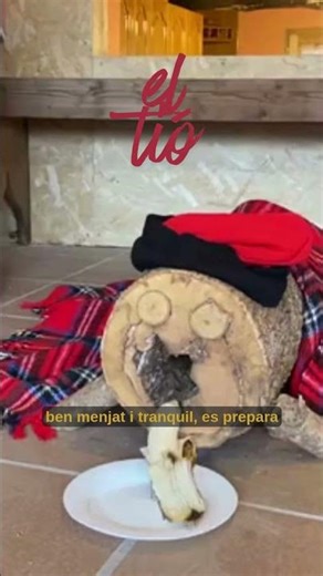 #nadala #català #infantil #tio #tradiciocatalana #christmas #music