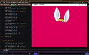 【Python代码实现】送给女朋友的新年礼物，小兔兔