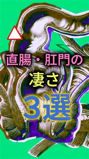 直腸・肛門の凄さ3選 #直腸 #肛門 #便秘 #失禁 #消化管 #大腸 #消化器内科 #医学 #医療 #健康 #うんち #排便 #腸活 #shorts