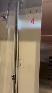 331K views · 311 reactions | Yan Yan Chan on Reels | Facebook