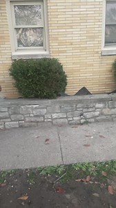 1.4M views · 10K reactions | #Reel#funny#videos | The Bebe 5 | Facebook