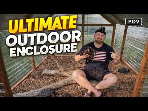 We Built The Ultimate Redfoot Tortoise Enclosure