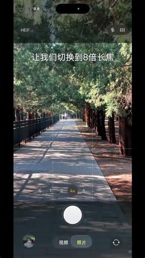 Mastering Telephoto Phone Photography: Tips & Tricks