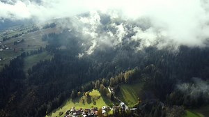 Valley, Trees, Fog. Free Stock Video