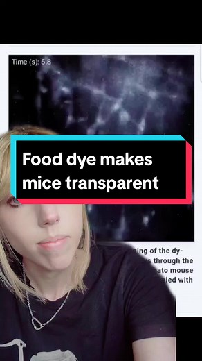 i forgot to include the paper:Achieving optical transparency in live animals with absorbing molecules (2024) #sciencenews #yellow5 #transparentskin #transparentmice