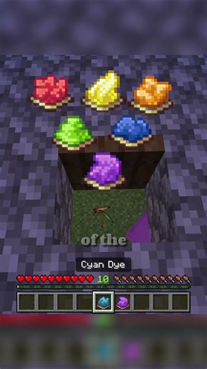 NEVER try this in your Minecraft world...