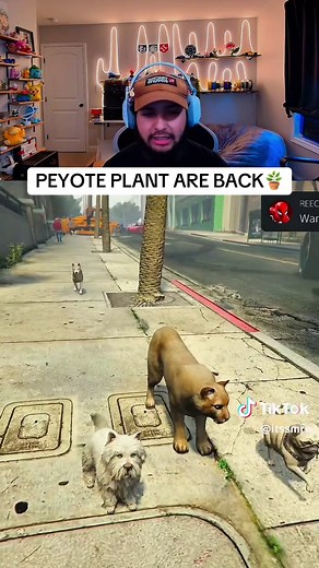 Discover Peyote Plants in GTA Online: Guide and Tips