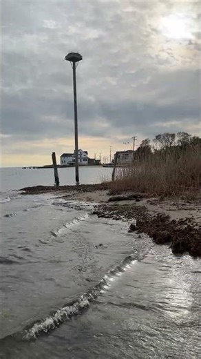 60 seconds of NJ Zen, Laurel Blvd Gazebo, Lanoka Harbor, NJ #njzen #njparks #lanokaharbor