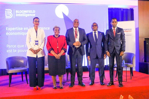 L’intelligence économique : Un outil stratégique pour l’attraction des investissements en Côte d'Ivoire, selon CEPICI - Abidjan.net News