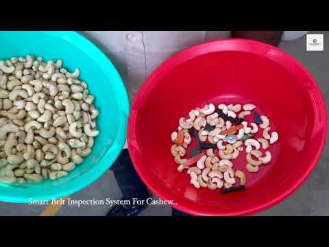 Advanced AI Cashew Sorting: Eliminating Defects & Impurities with Optical Sorter