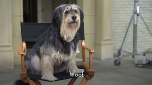 Behind the scenes with a very special Stars Hollow citizen. | Gilmore Girls