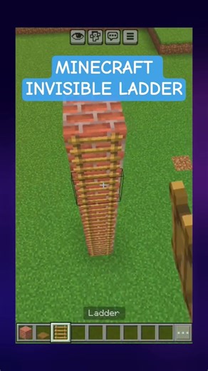 MAKING AN INVISIBLE LADDER IN MINECRAFT #minecraft #phonk #shorts