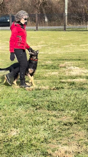 Beth Bradley | From focused heeling to a send-out. Banshee initially anticipates the down—thanks to her trial last month—but she quickly remembers the... | Instagram