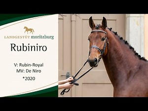 RUBINIRO v. Rubin-Royal - De Niro 2023