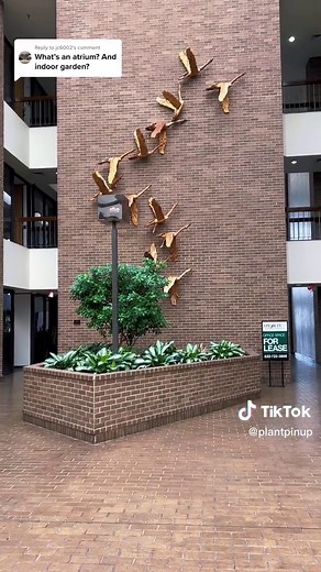 Understanding Atrium: A Look at Ancient Greek and Modern Day Architecture