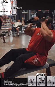 22K views · 902 reactions | Hadi Choopan Biceps✅ and Chest✅ Workout #motivation #fitness #workout #gym #back #chest #biceps | Gideon the vandals | Facebook