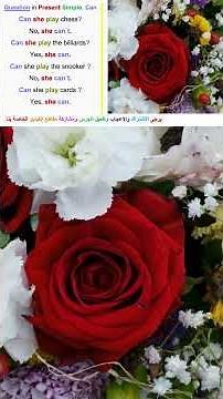 CAN for Ability Explained | English Grammar for Beginners 11 #speakconfidentenglish #english