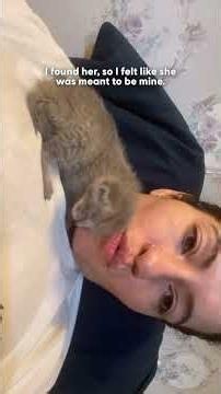 Delivery Driver Found This Tiny Kitten All Alone On Her Route | The Dodo