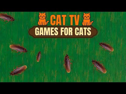 Cat Games on Screen | Realistic 3D Cockroaches for Cats to Watch | CatTVBini