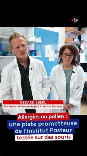 A glimmer of hope for all those who are allergic to pollen!