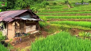 pepeling hirup | Sunda Family