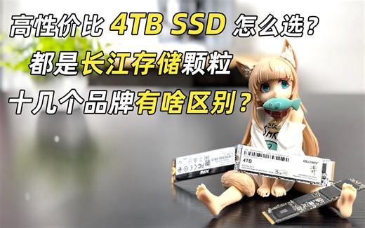 高性价比4TB SSD怎么选？10几个品牌都用长江存储颗粒+联芸主控，有啥区别？