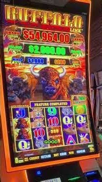 The Comeback! Risking $18,000 in Hard Rock Hollywood Florida! 🎰#slots #hardrock #florida #casino