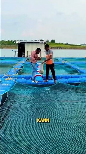 Schwimmende Fischzucht erklärt