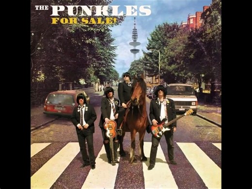 朋克士乐队-The Punkles For Sale！