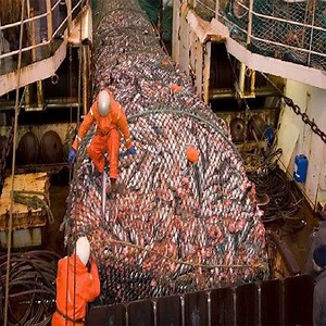 35K views · 282 reactions | Moments You Wouldn't Believe If They Weren't Recorded Credit: Modern Technology | Funniest Video TV | Facebook