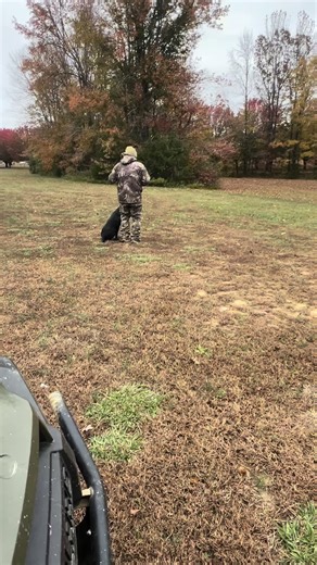 #fyp #duck #duckdogsoftiktok #labs #waterfowl