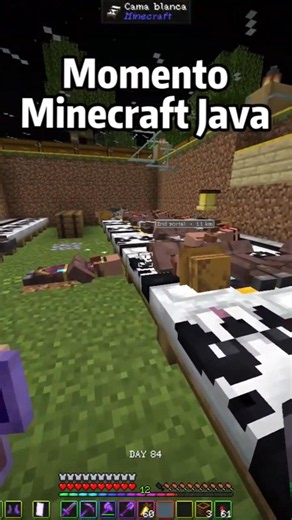 Minecraft Java también tiene Bugs #minecraft #minecraftshorts #minecraftmemes