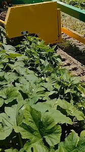 #farmer #farmlife #tractor #johndeere #fendt #agro #nature #technology #viralvideoシ #innovation #trendingpost #reelschallenge #fypchallenge | Tomorrow