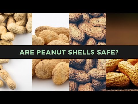 Is Eating Peanut Shells Safe