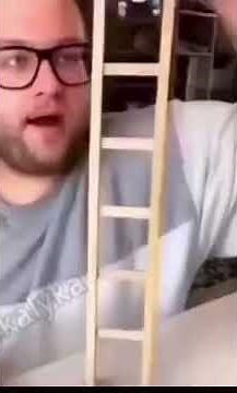 Cat Falls Down Ladder | #Shorts