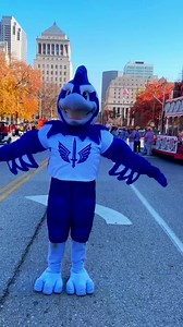 archie is everything he thinks he is | St. Louis Battlehawks