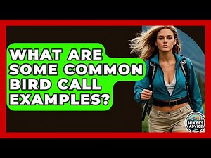 What Are Some Common Bird Call Examples? - The Hiker's Advice