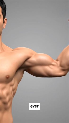 Flexplained on Instagram: "Muscle glycogen explained 🧠💪 Why carbs make your muscles look fuller, stronger, and more pumped — it’s not just lighting. #MuscleGlycogen #CarbsForMuscle #FitnessScience #MusclePump #GymEducation"