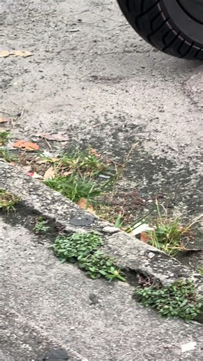 Check check one two . #ax200sgrey #ax200s